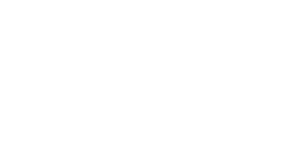 mobilis